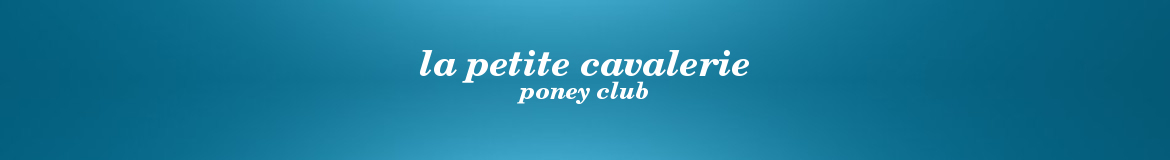 la petite cavalerie